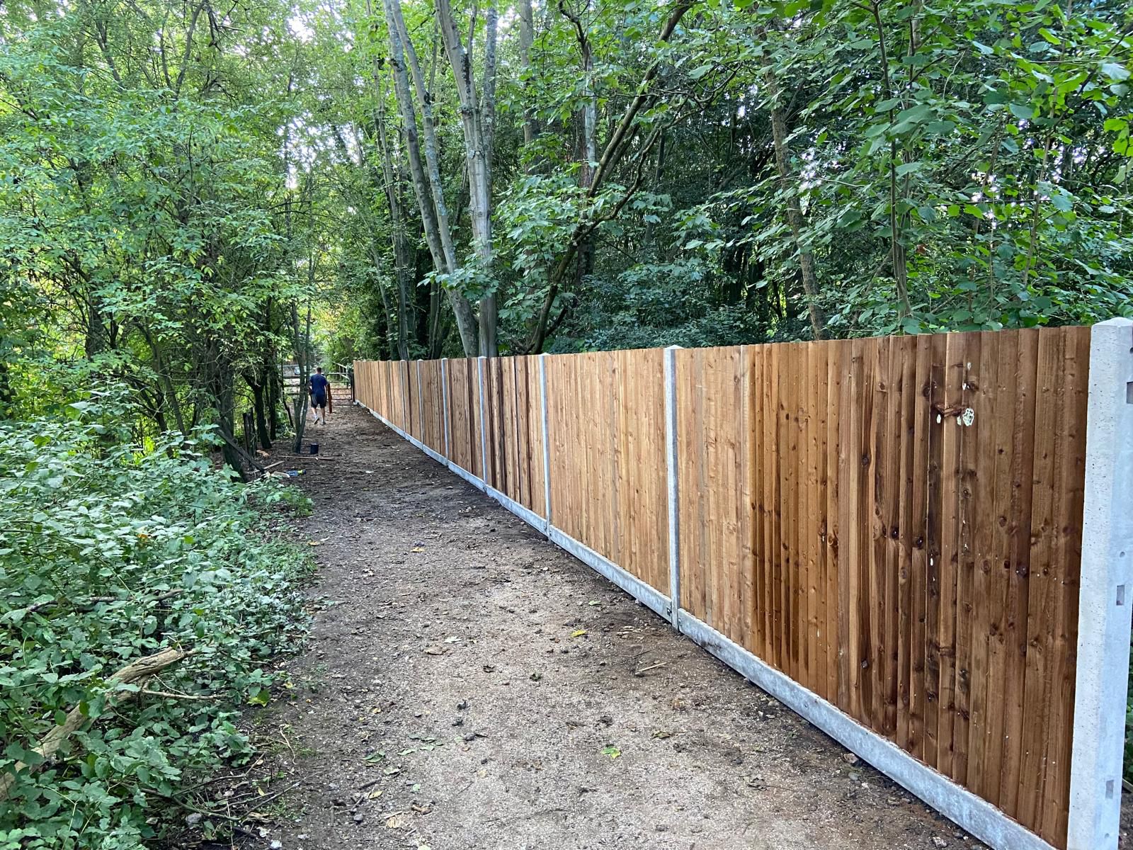 Long run of close board fencing through woodland