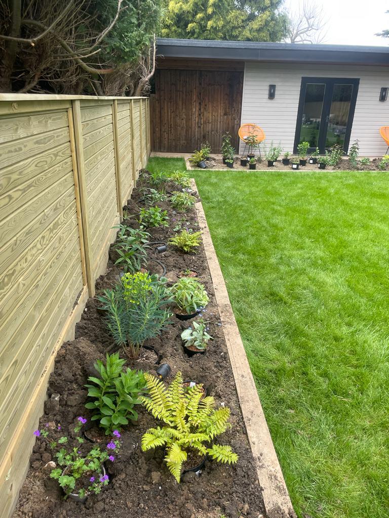 Border planting with new fencing