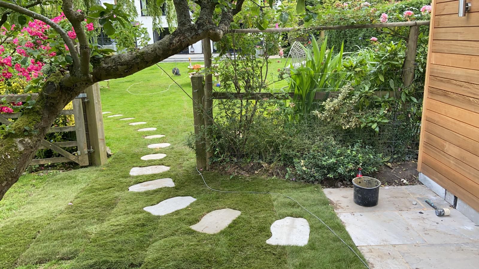 Stepping stones set in lawn