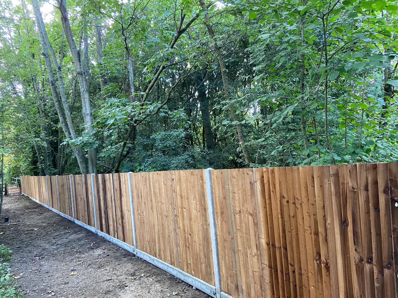 Close board fencing with concrete posts in woodland setting