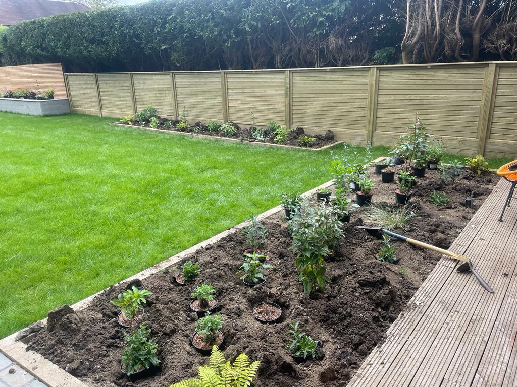 Freshly laid lawn with raised planting border